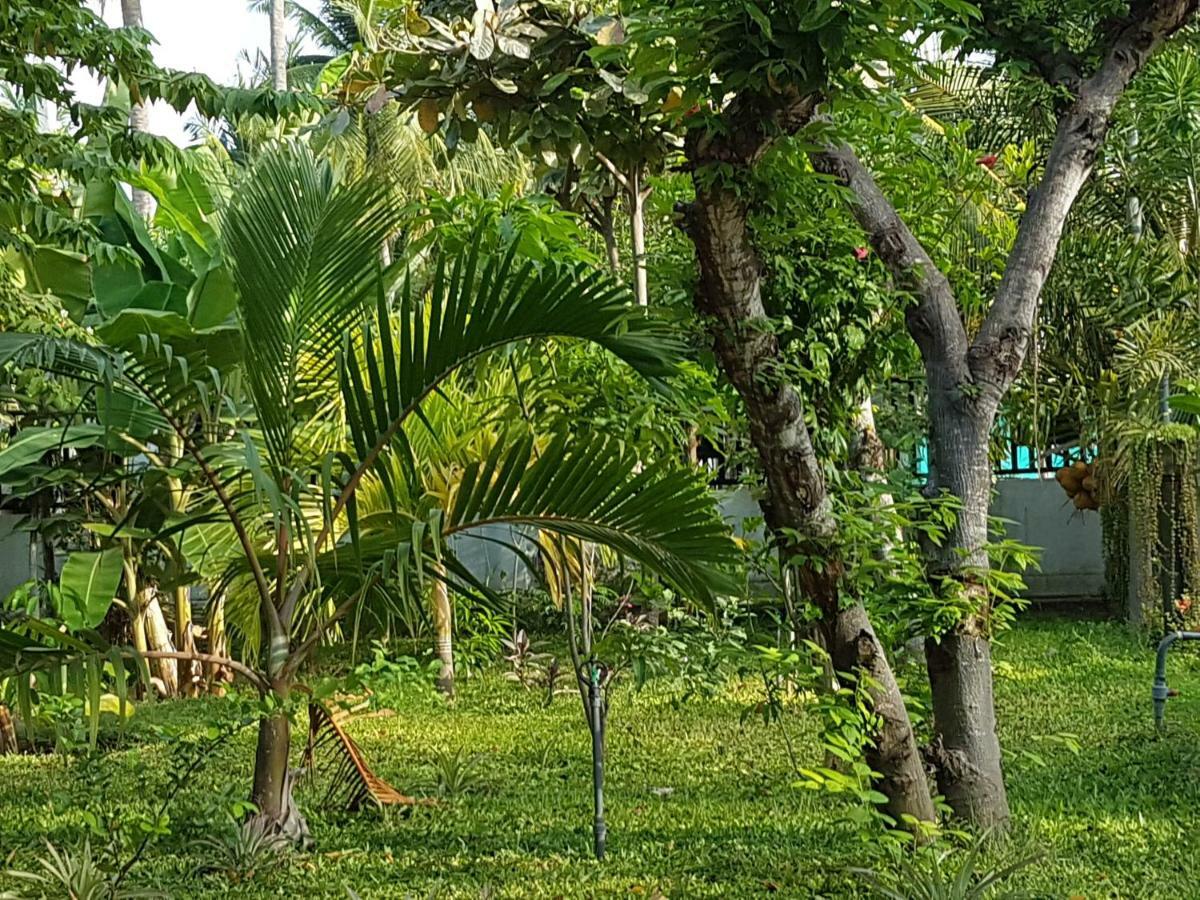Luna Beach Hotel นิลาเวลี ภายนอก รูปภาพ